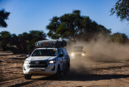 Namibia_April_2025 (4/79)
